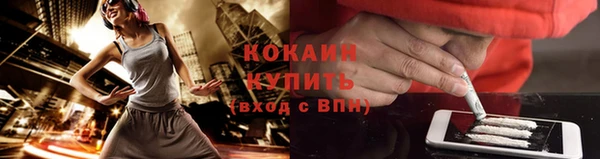 гашик Коряжма