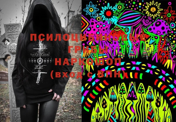 прущие грибы Костерёво